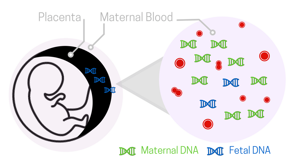 Prenatal DNA Test Atlanta