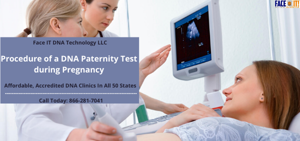 Procedure of a DNA Paternity Test during Pregnancy